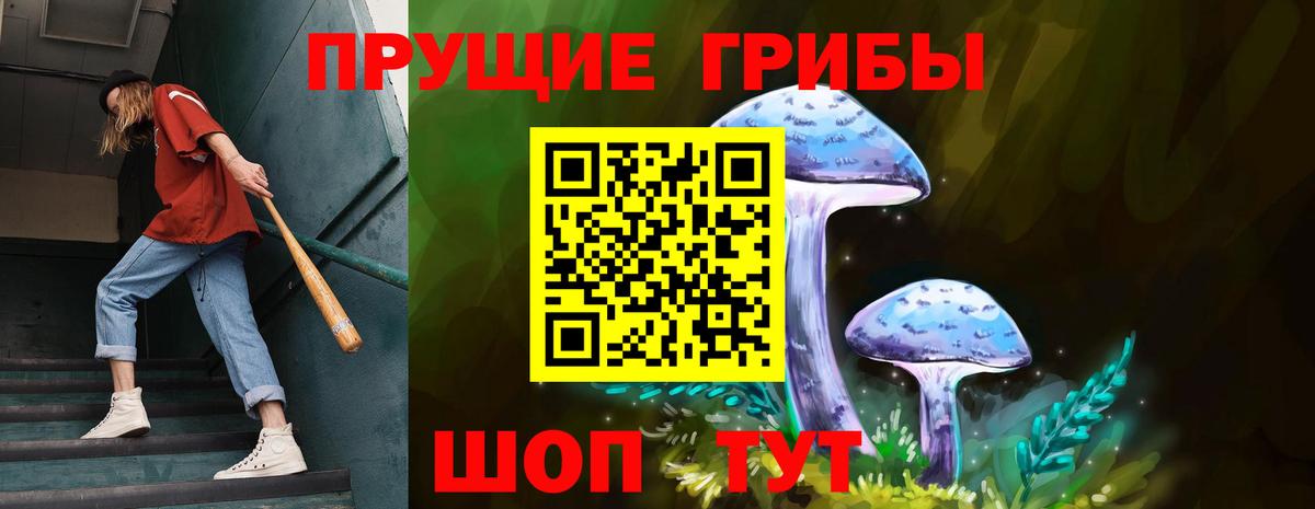 Галлюциногенные грибы Psilocybe Еманжелинск